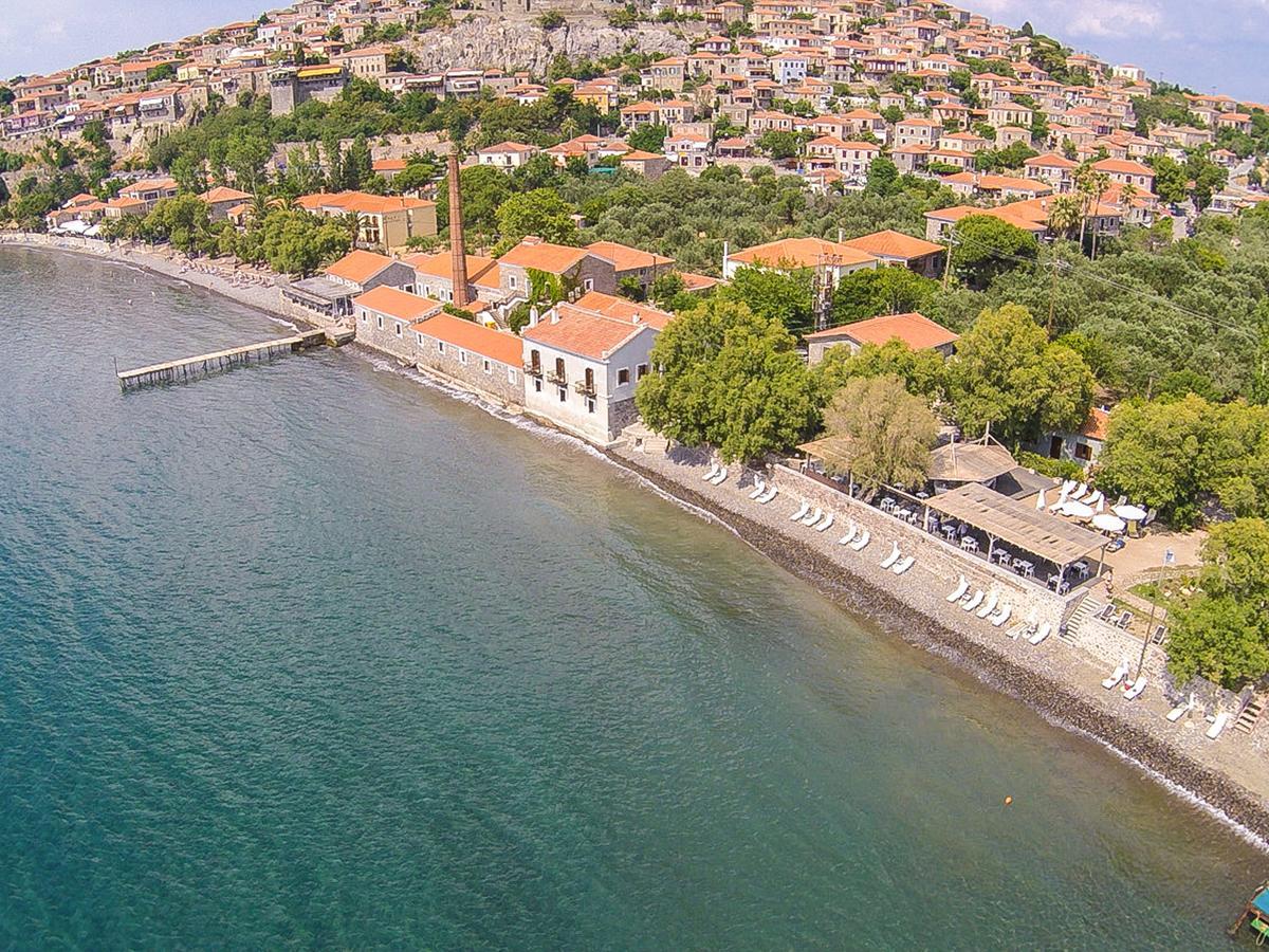 Olive Press Hotel & Apartments Митимна Экстерьер фото