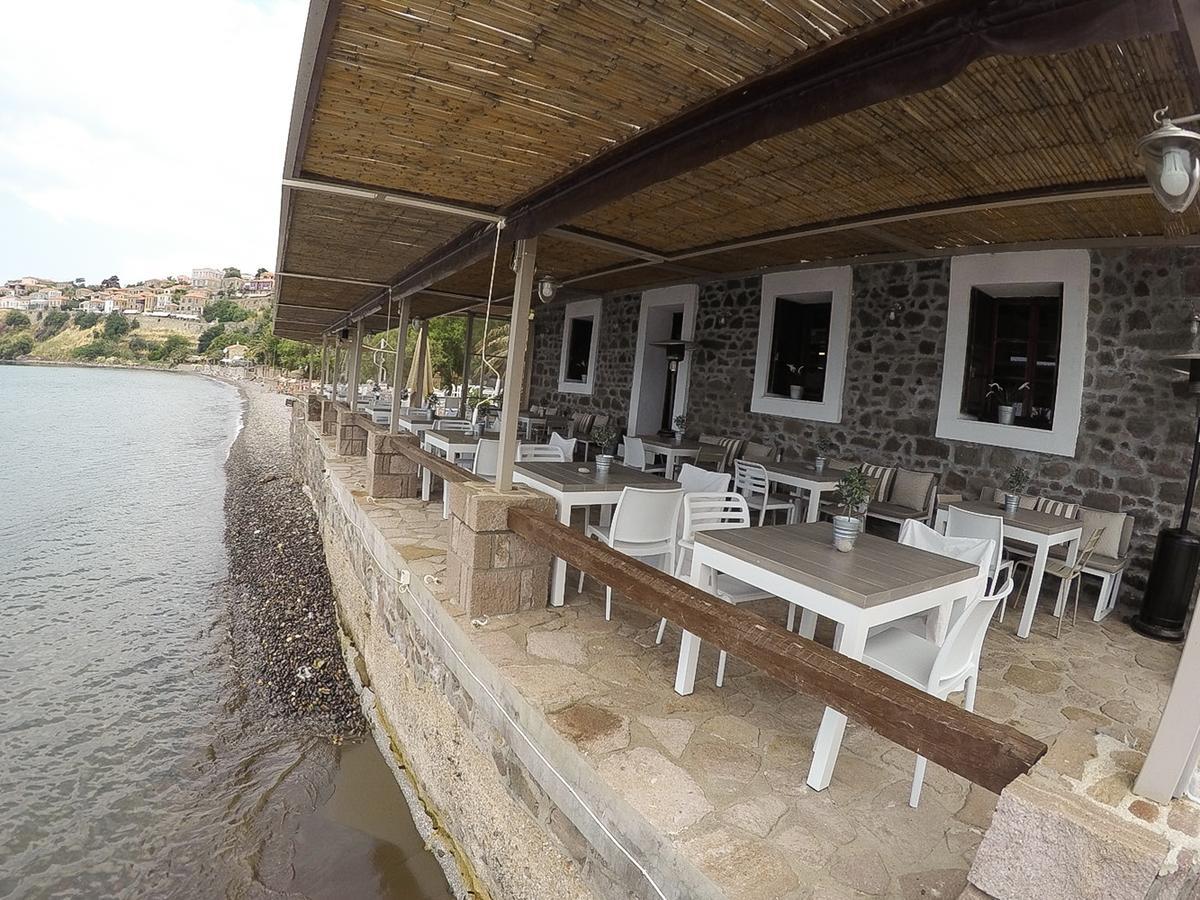 Olive Press Hotel & Apartments Митимна Экстерьер фото