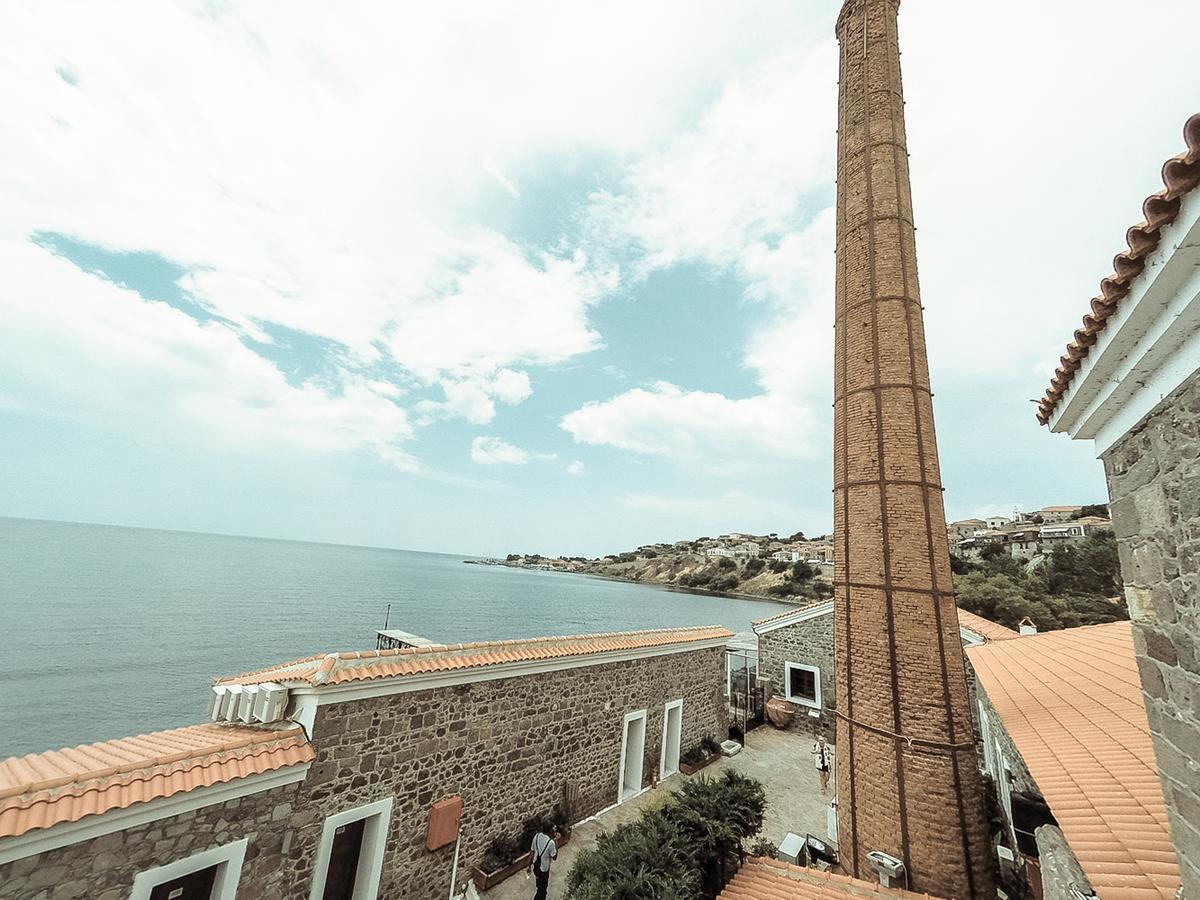 Olive Press Hotel & Apartments Митимна Экстерьер фото