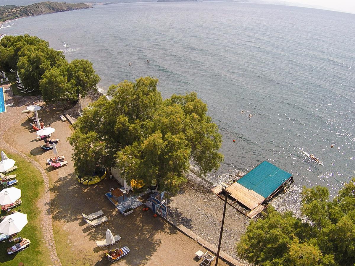 Olive Press Hotel & Apartments Митимна Экстерьер фото